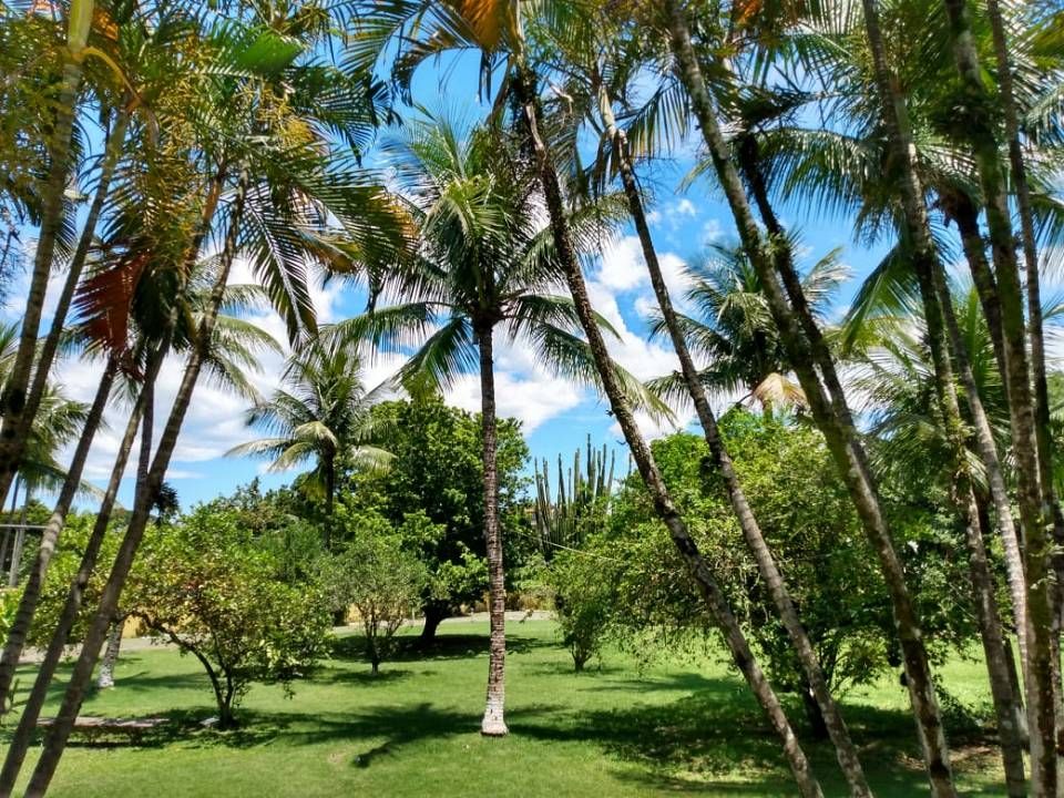 Oportunidade: Sitio em Campo Grande, Rio De Janeiro - Foto 9