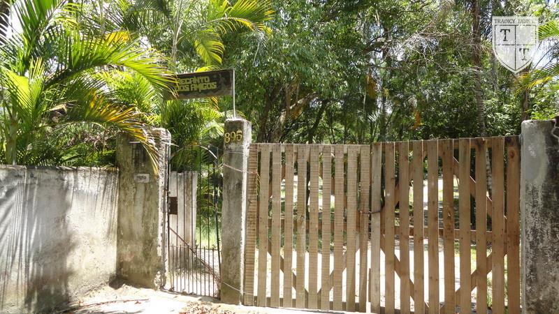 Excelente Terreno em Guaratiba, Rio De Janeiro - Foto 10