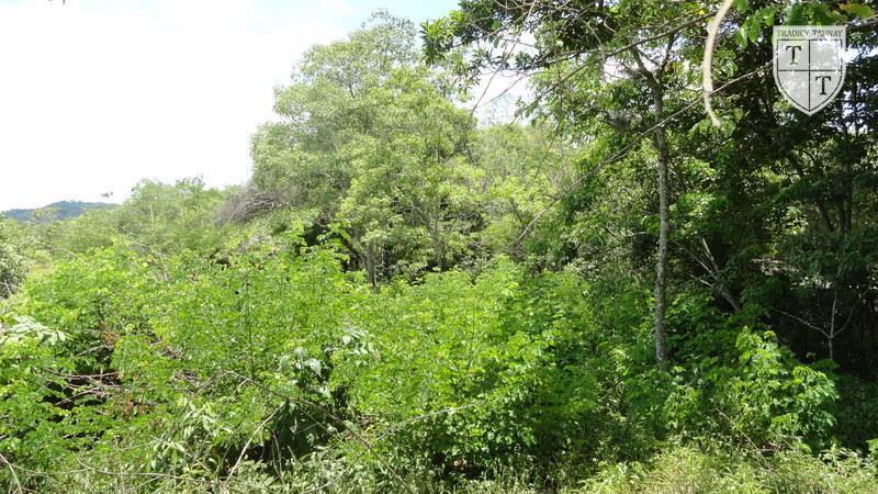 Excelente Terreno em Guaratiba, Rio De Janeiro - Foto 12