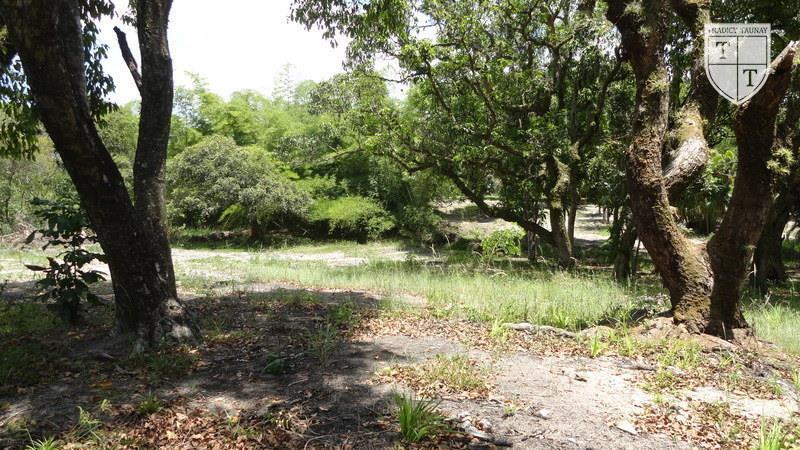 Excelente Terreno em Guaratiba, Rio De Janeiro - Foto 16