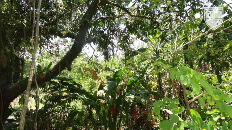 Excelente Terreno em Guaratiba, Rio De Janeiro - Foto 2