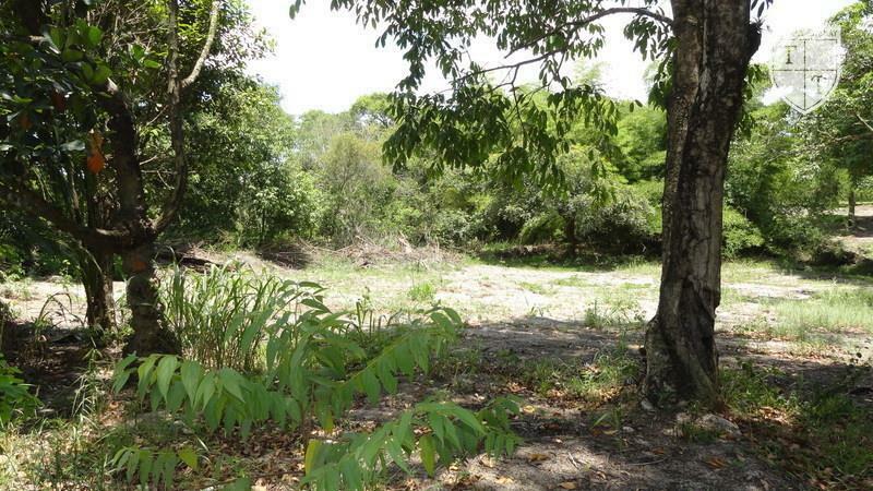 Excelente Terreno em Guaratiba, Rio De Janeiro - Foto 20