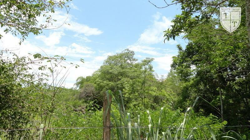 Excelente Terreno em Guaratiba, Rio De Janeiro - Foto 21