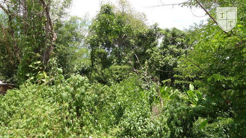 Excelente Terreno em Guaratiba, Rio De Janeiro - Foto 24