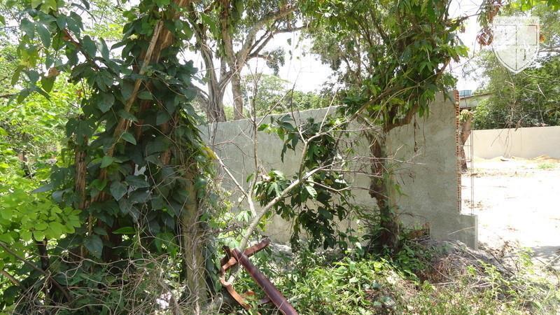 Excelente Terreno em Guaratiba, Rio De Janeiro - Foto 25