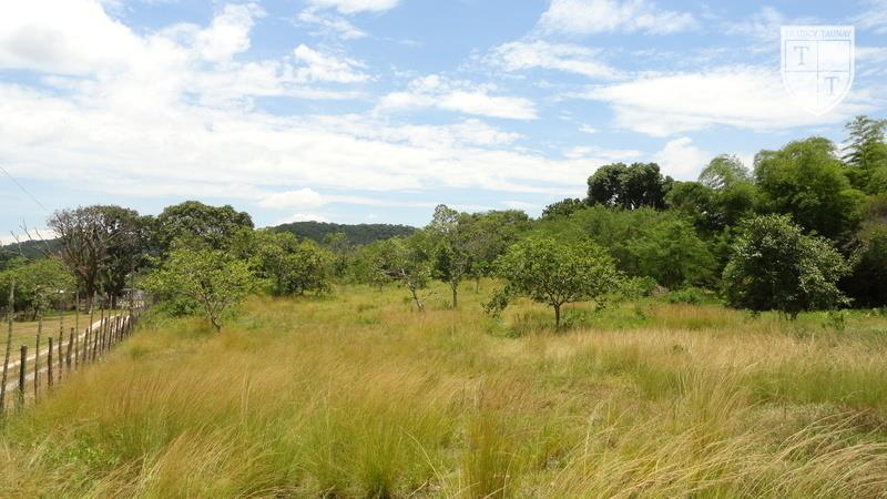 Excelente Terreno em Guaratiba, Rio De Janeiro - Foto 4