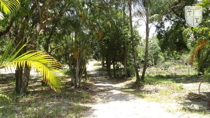 Excelente Terreno em Guaratiba, Rio De Janeiro - Foto 6