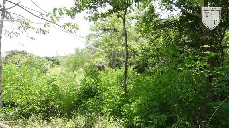 Excelente Terreno em Guaratiba, Rio De Janeiro - Foto 7