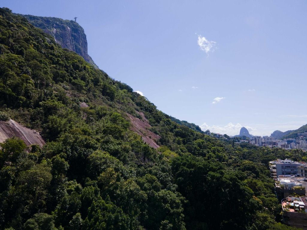 Sofisticado Apartamento em Jardim Botanico, Rio De Janeiro - Foto 13