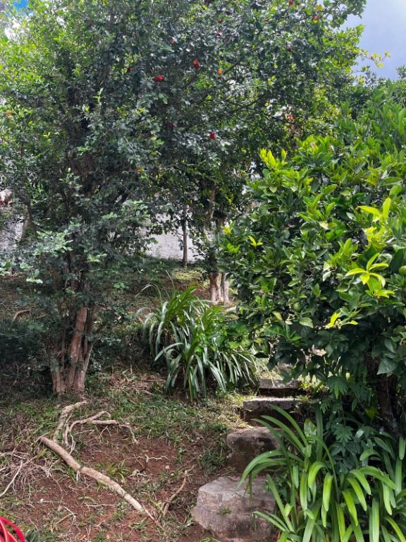 Oportunidade: Casa em Golfe, Teresopolis - Foto 40