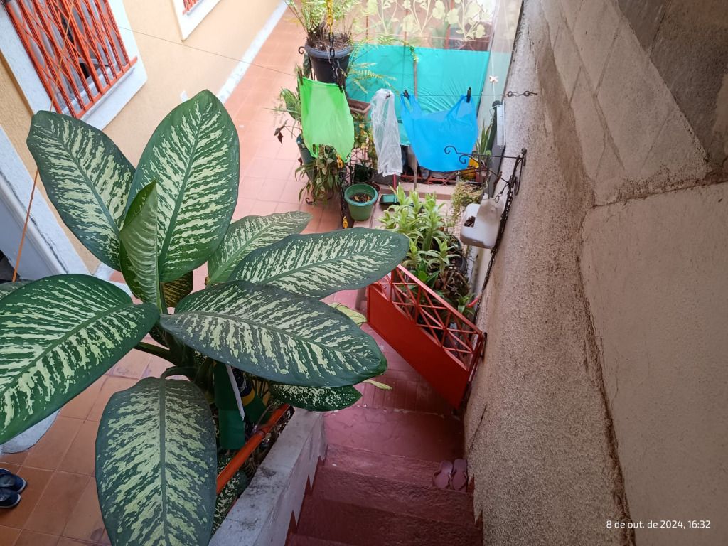 Casa Espaçosa em Santo Cristo, Rio De Janeiro - Foto 19