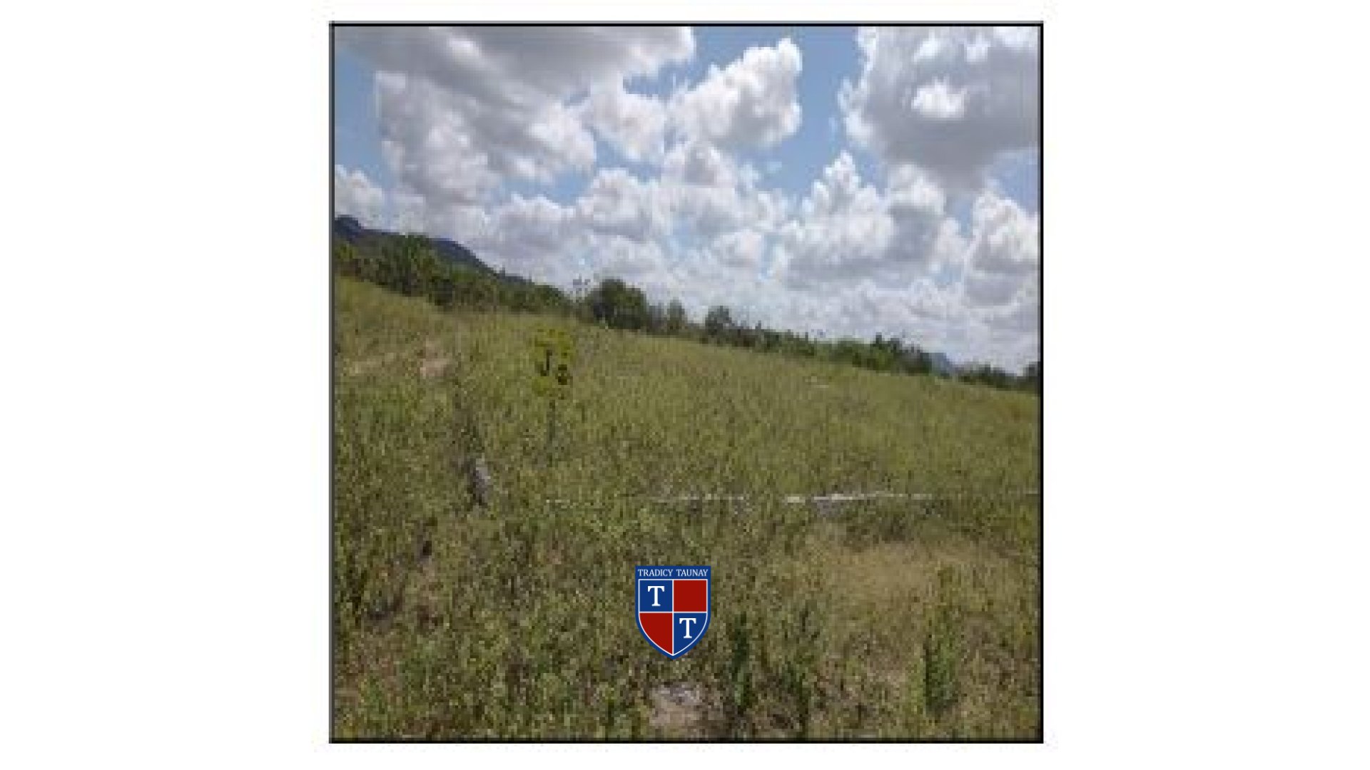 Foto 1 de TERRENO em CENTRO - Imóvel Retomado Caixa