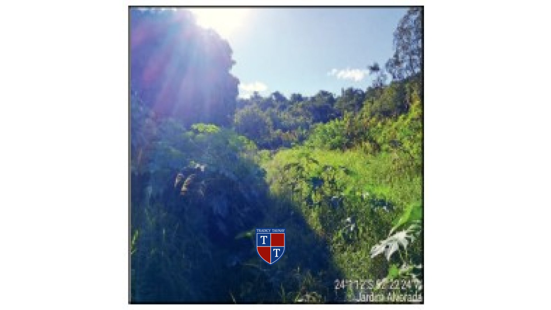 Foto 1 de TERRENO em JARDIM ALVORADA - Imóvel Retomado Caixa