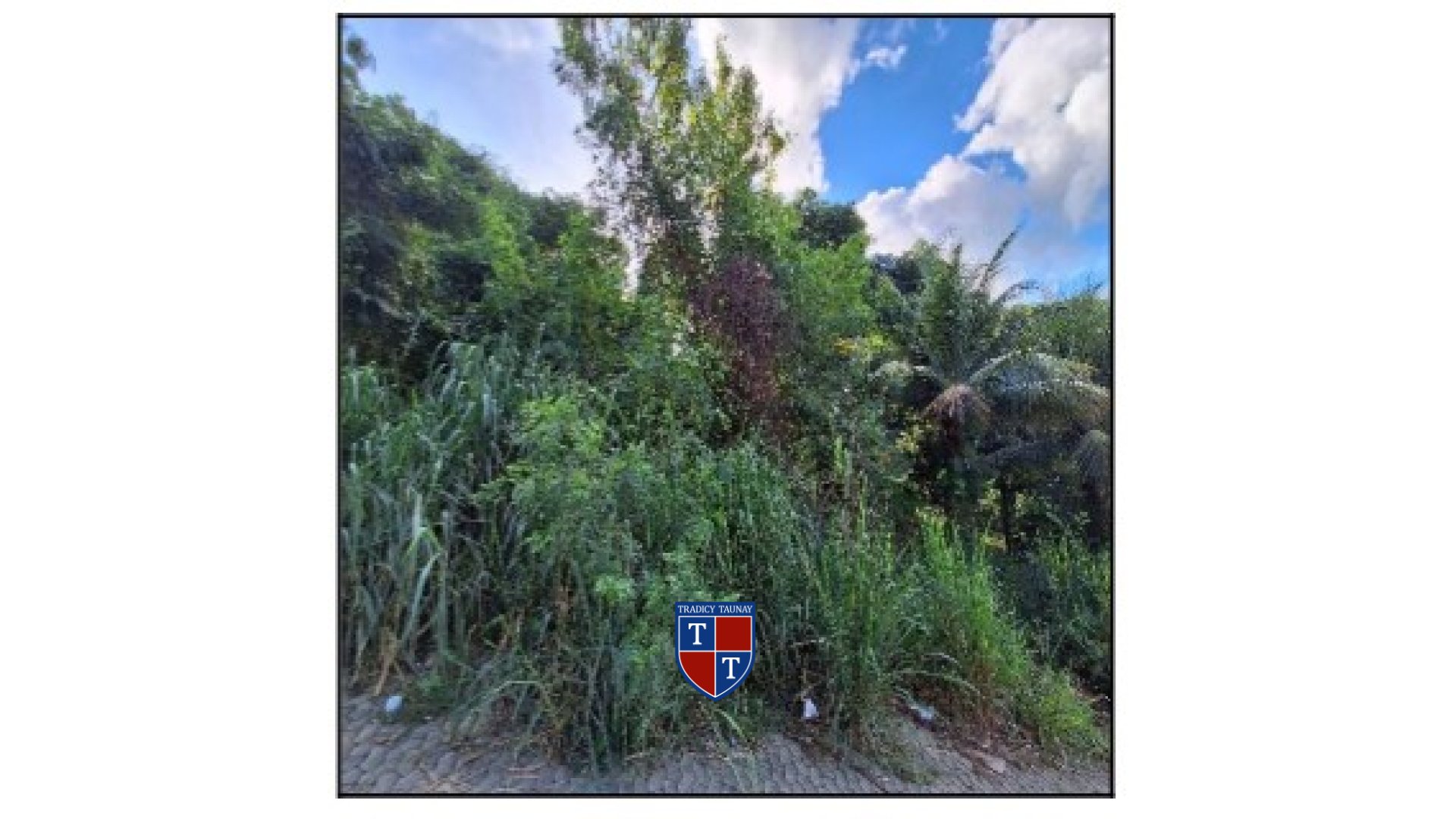 Foto 1 de TERRENO em BELVEDERE - Imóvel Retomado Caixa