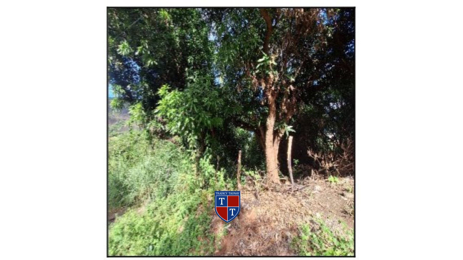 Foto 1 de TERRENO em BELVEDERE - Imóvel Retomado Caixa