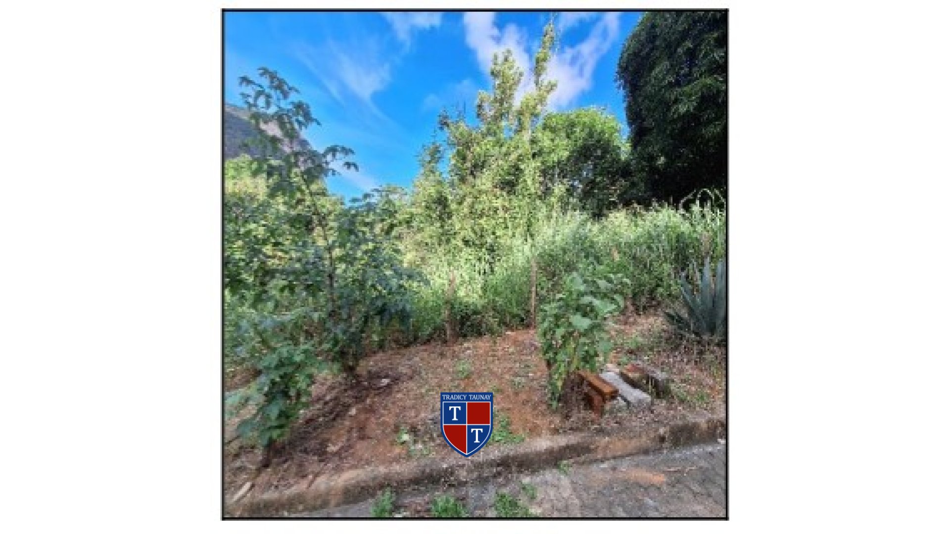 Foto 1 de TERRENO em BELVEDERE - Imóvel Retomado Caixa
