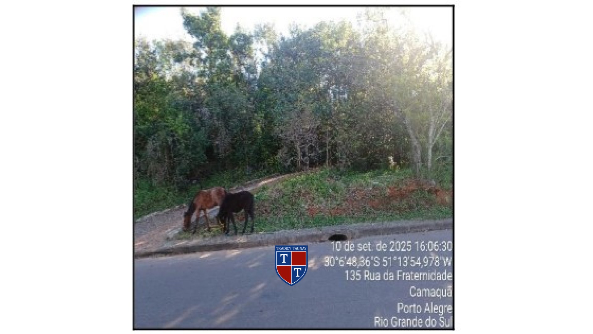 Foto 1 de TERRENO em CAMAQUA - Imóvel Retomado Caixa