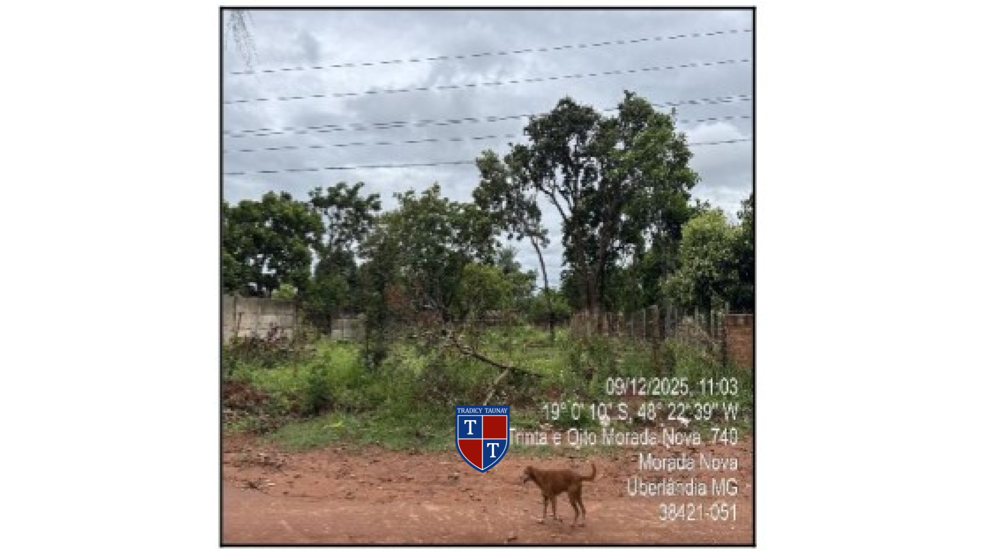 Foto 1 de TERRENO em MORADA NOVA - Imóvel Retomado Caixa