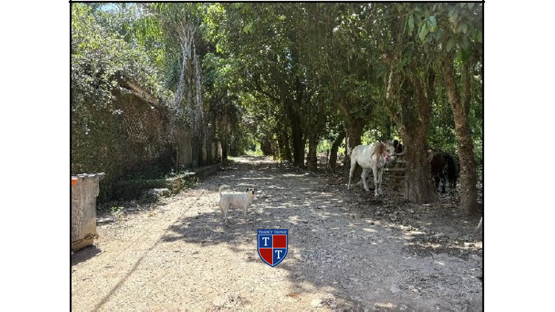 Foto 2 de TERRENO em ANIL - Imóvel Retomado Caixa