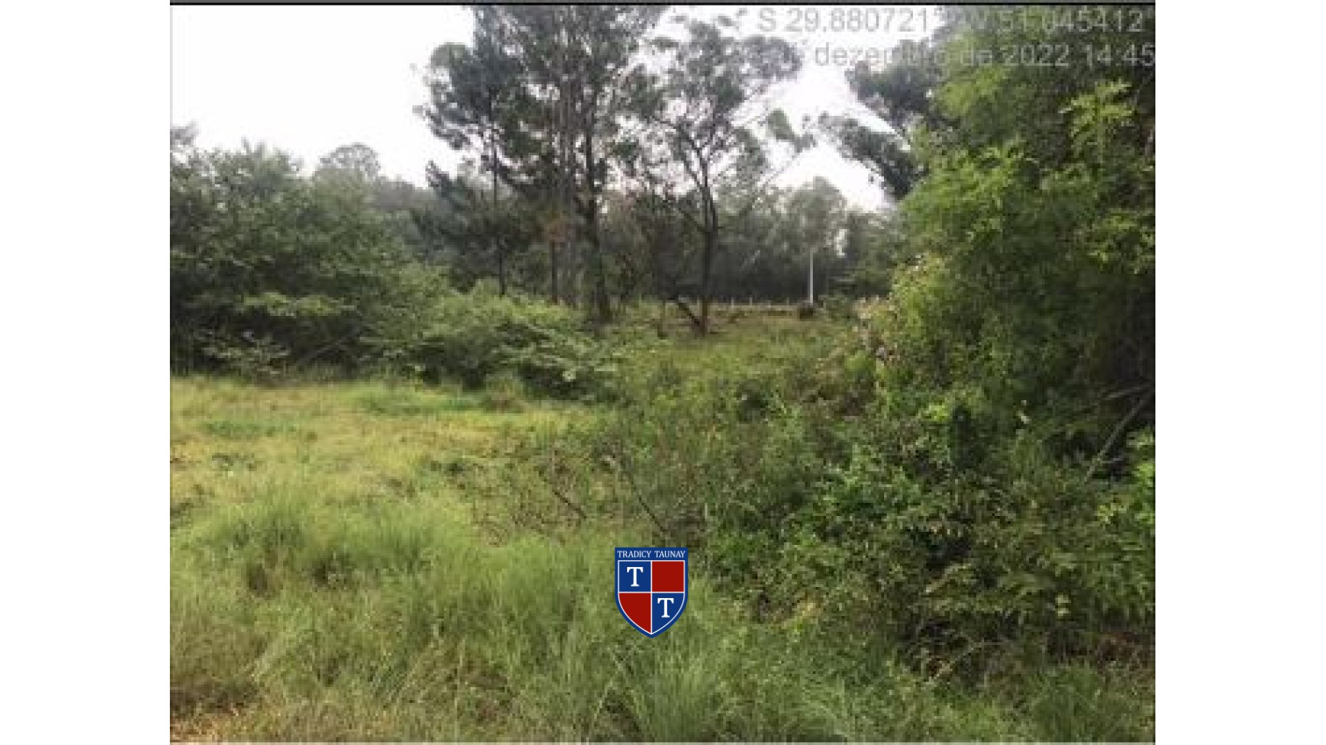 Foto 2 de TERRENO em PORTEIRA DO IPIRANGA (IPIRANGA) - Imóvel Retomado Caixa