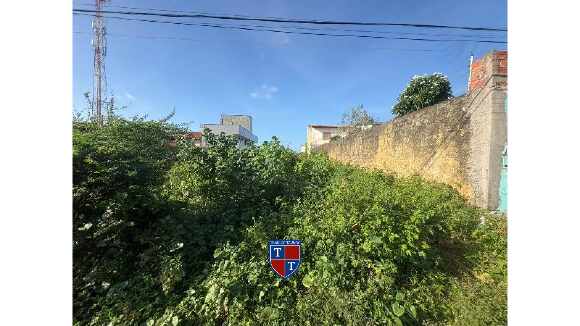 TERRENO em PARQUE PINDORAMA
