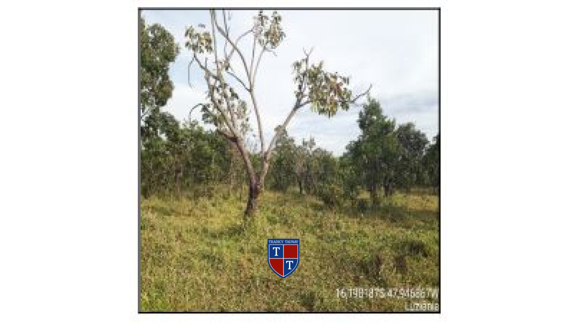 Foto 1 de TERRENO em PARQUE ALVORADA II - Imóvel Retomado Caixa