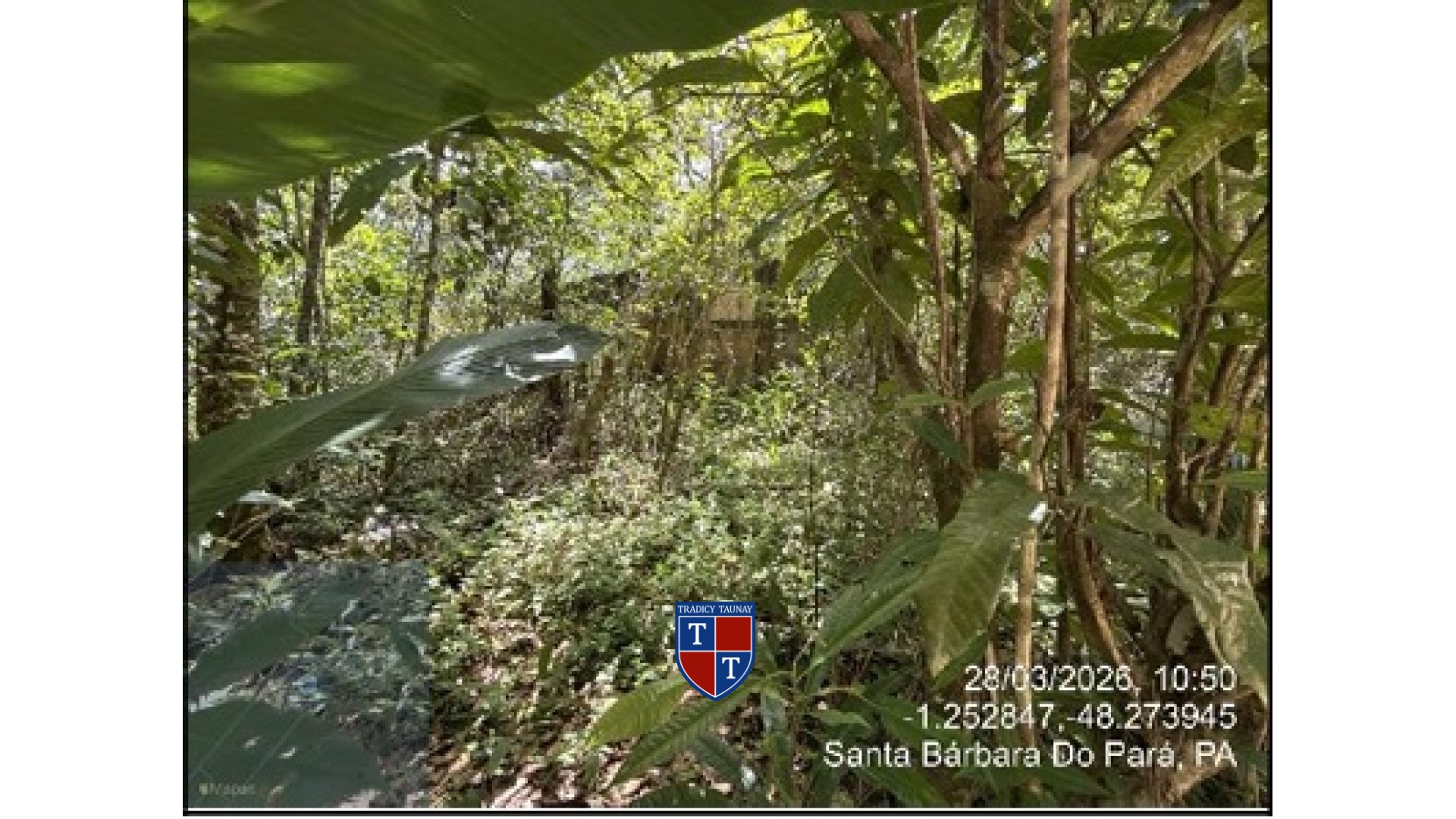 Foto 3 de CASA em BAIRRO PAU D ARCO - Imóvel Retomado Caixa