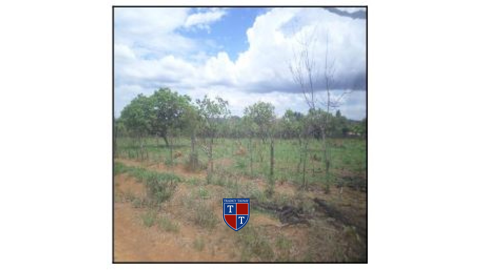 Foto 1 de TERRENO em PARQUE ALVORADA II - Imóvel Retomado Caixa