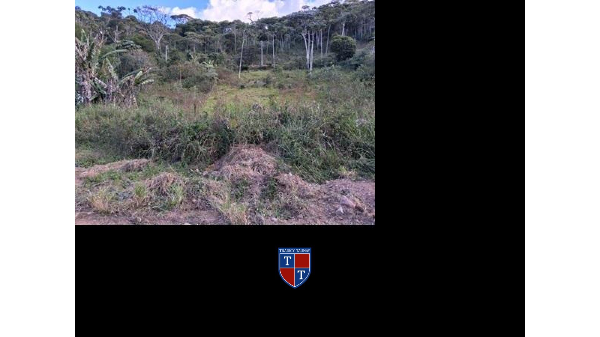 Foto 1 de TERRENO em COLONIA ALPINA - Imóvel Retomado Caixa
