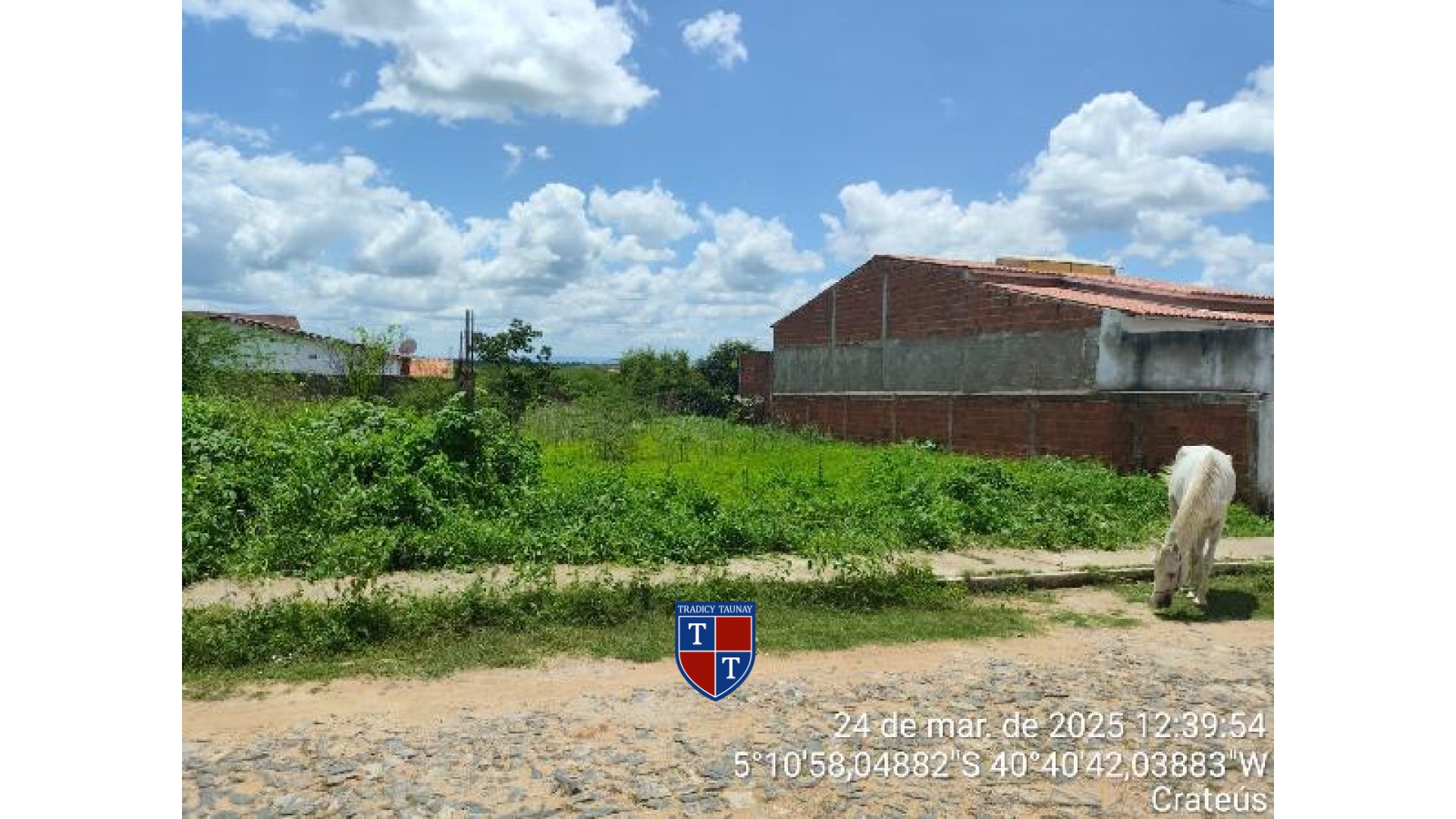 Foto 1 de TERRENO em PLANALTO - Imóvel Retomado Caixa