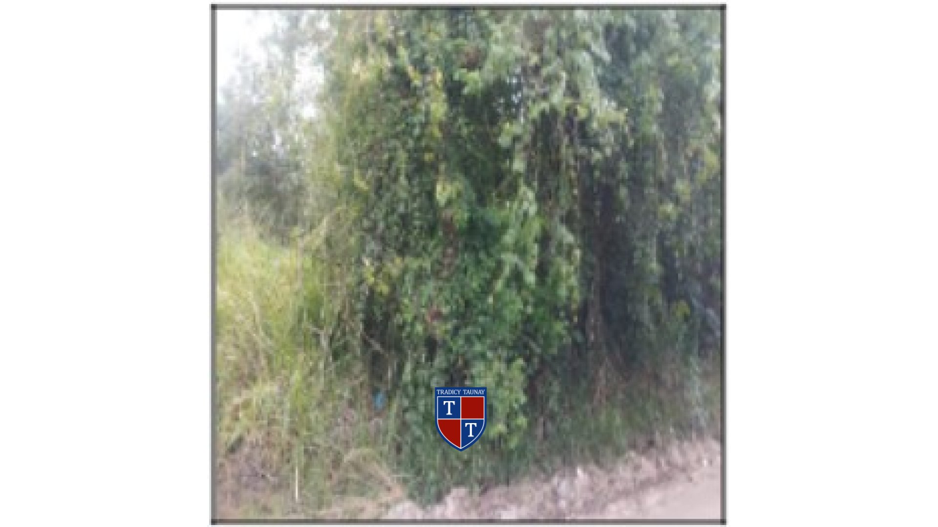 Foto 1 de TERRENO em AGRO BRASIL (SAMBAETIBA) - Imóvel Retomado Caixa