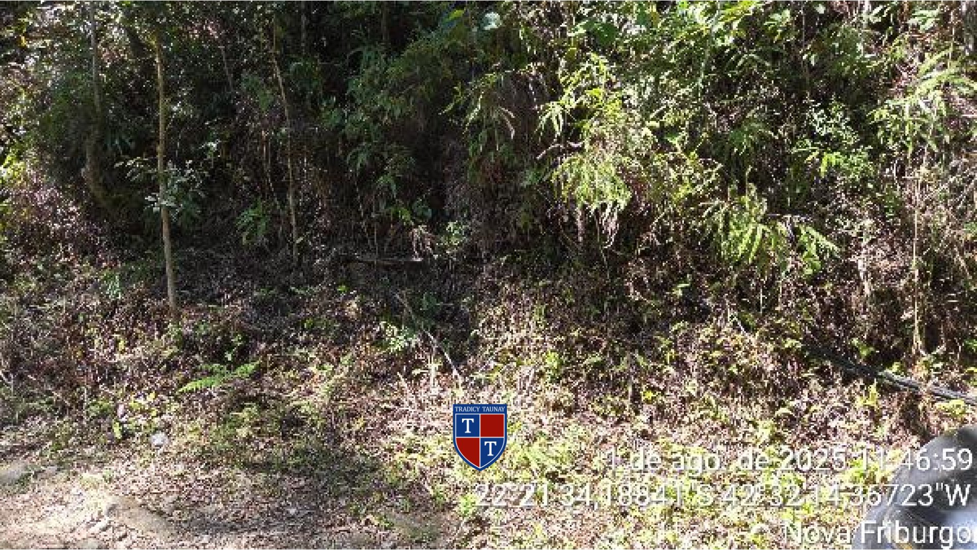 Foto 1 de TERRENO em DEBOSSAN - Imóvel Retomado Caixa