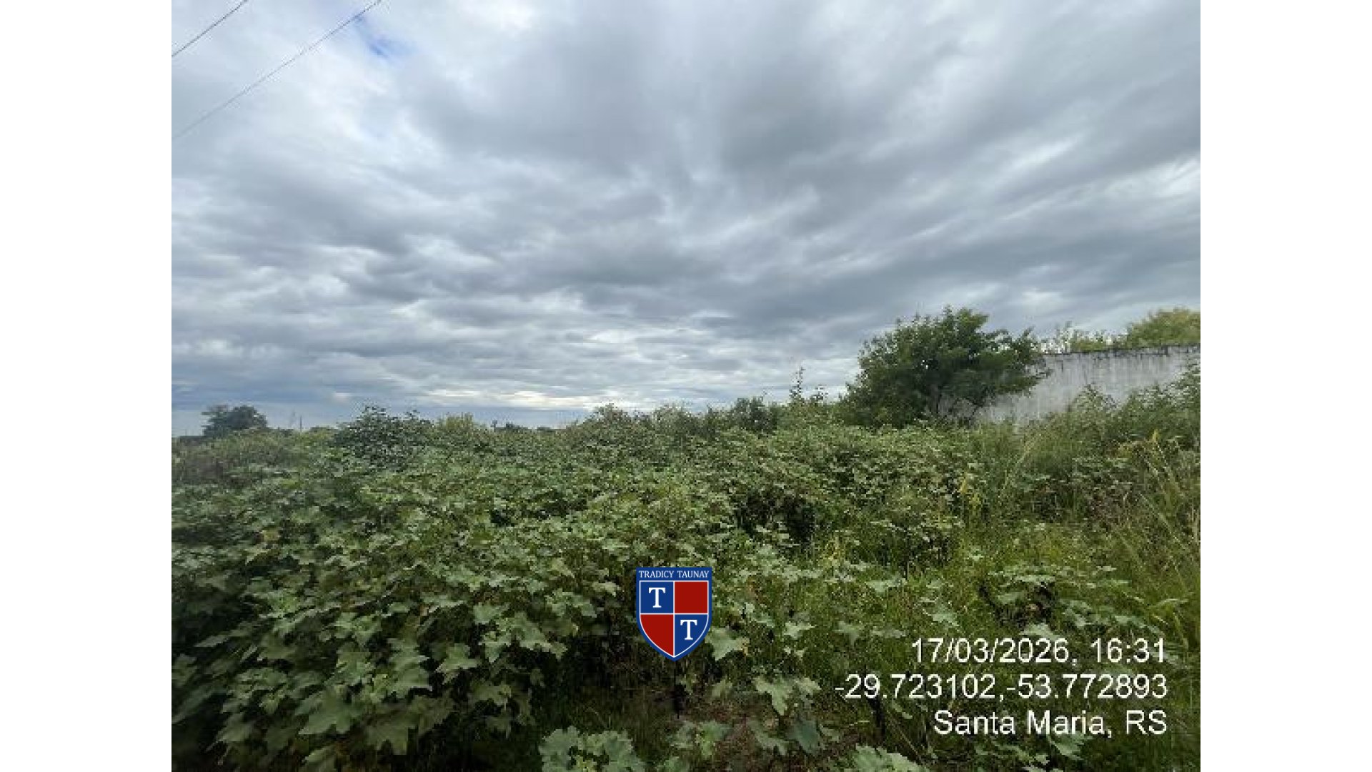 Foto 1 de TERRENO em LOT JARDIM BERLEZE - Imóvel Retomado Caixa