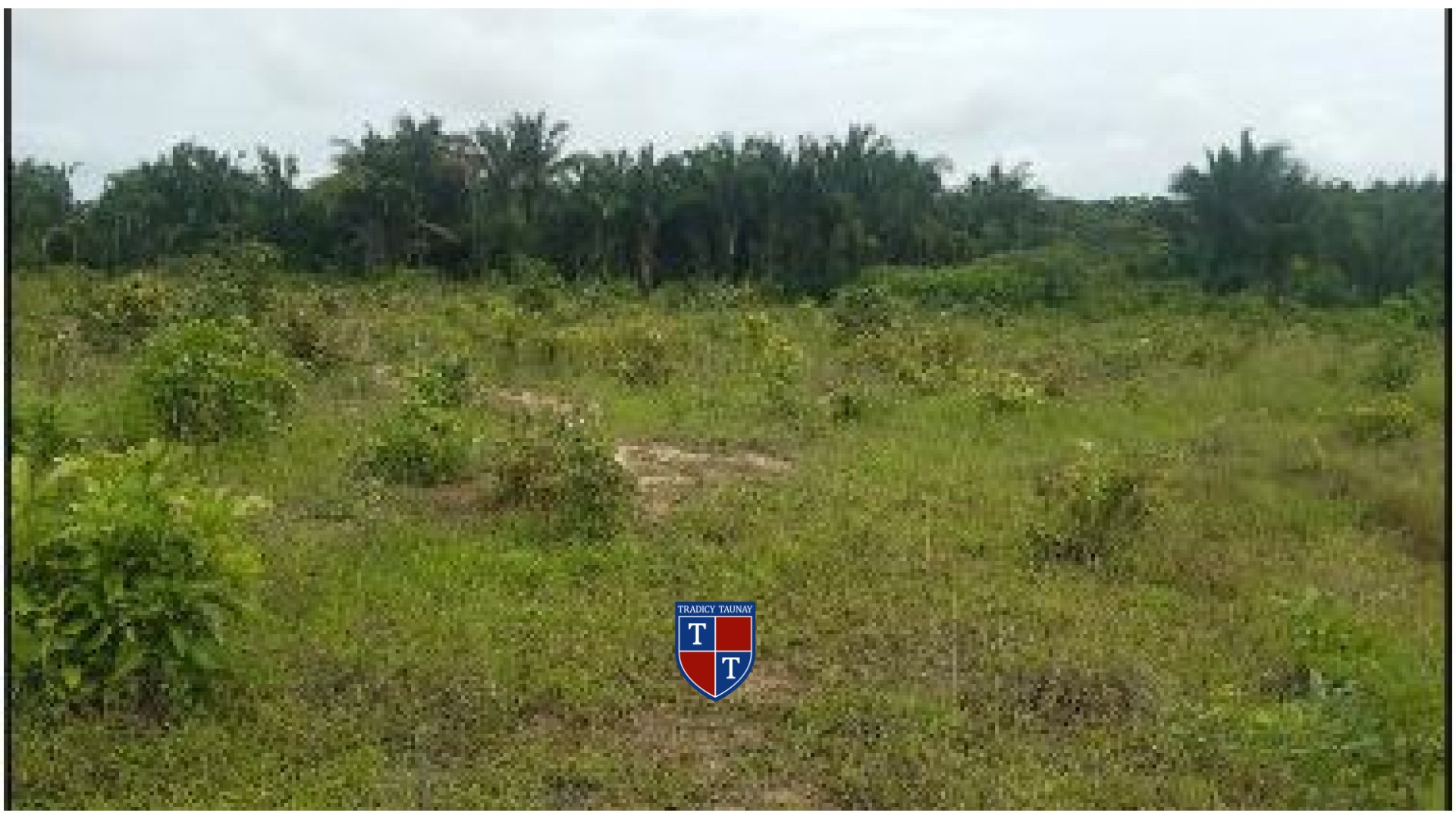 Foto 1 de TERRENO em PICARREIRA - Imóvel Retomado Caixa
