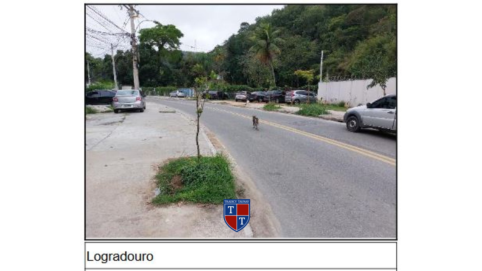 Foto 2 de APARTAMENTO em TAQUARA - Imóvel Retomado Caixa