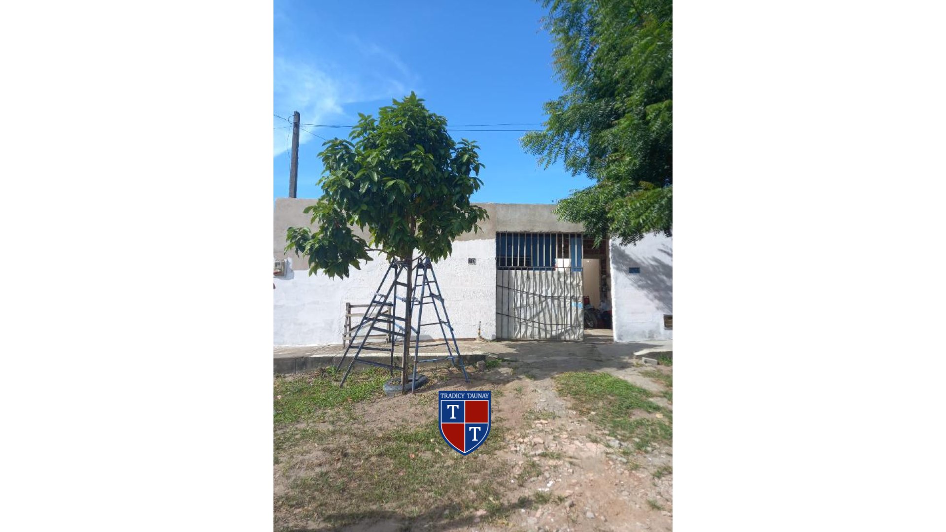 Foto 1 de CASA em KAMATAU - Imóvel Retomado Caixa