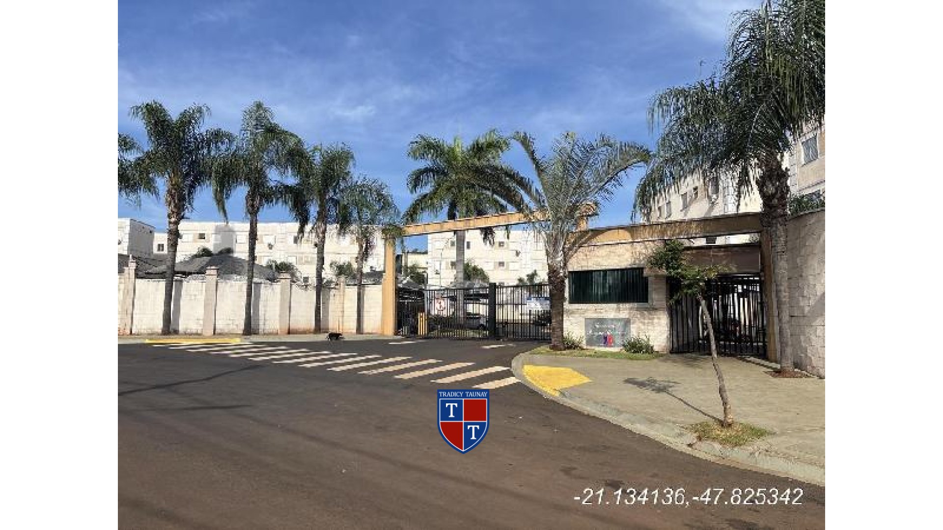 APARTAMENTO em JARDIM JOSE SAMPAIO JUNIOR
