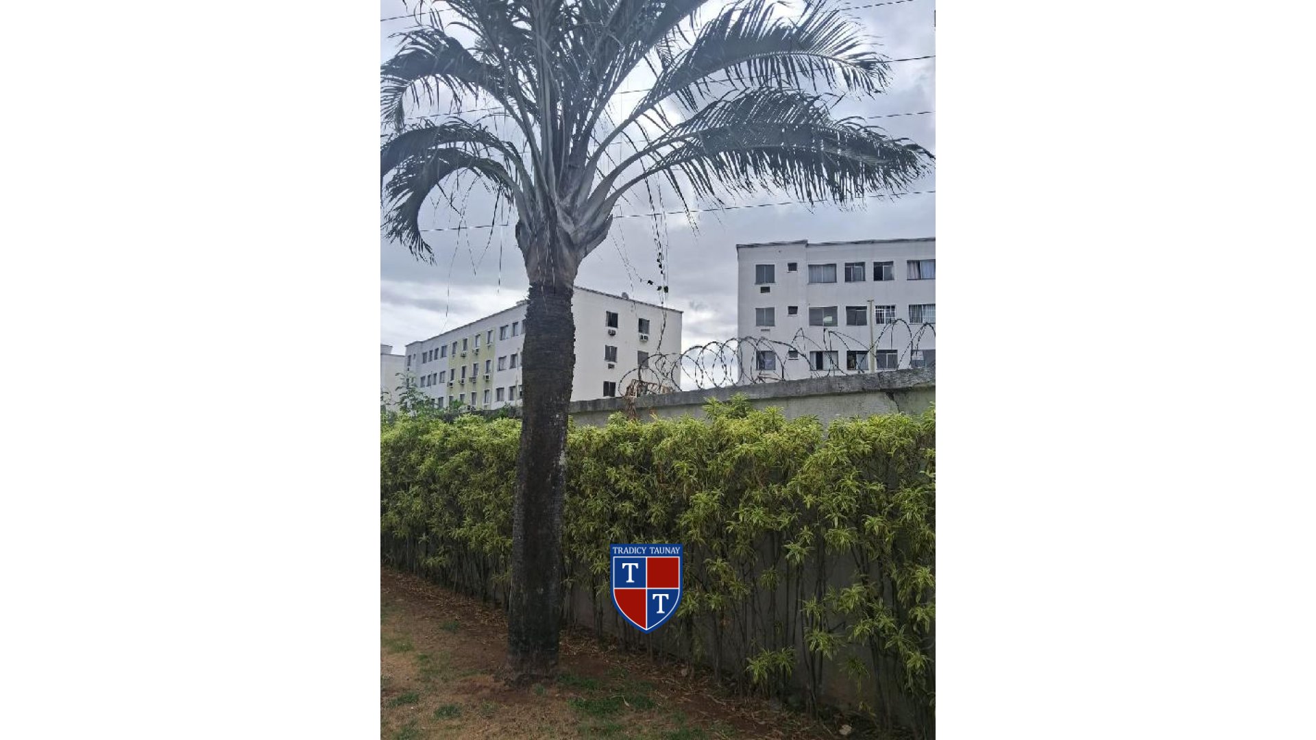 Foto 1 de APARTAMENTO em CAMPO GRANDE, RIO DE JANEIRO/RJ - Imóvel Retomado CAIXA Ref 8555523116180