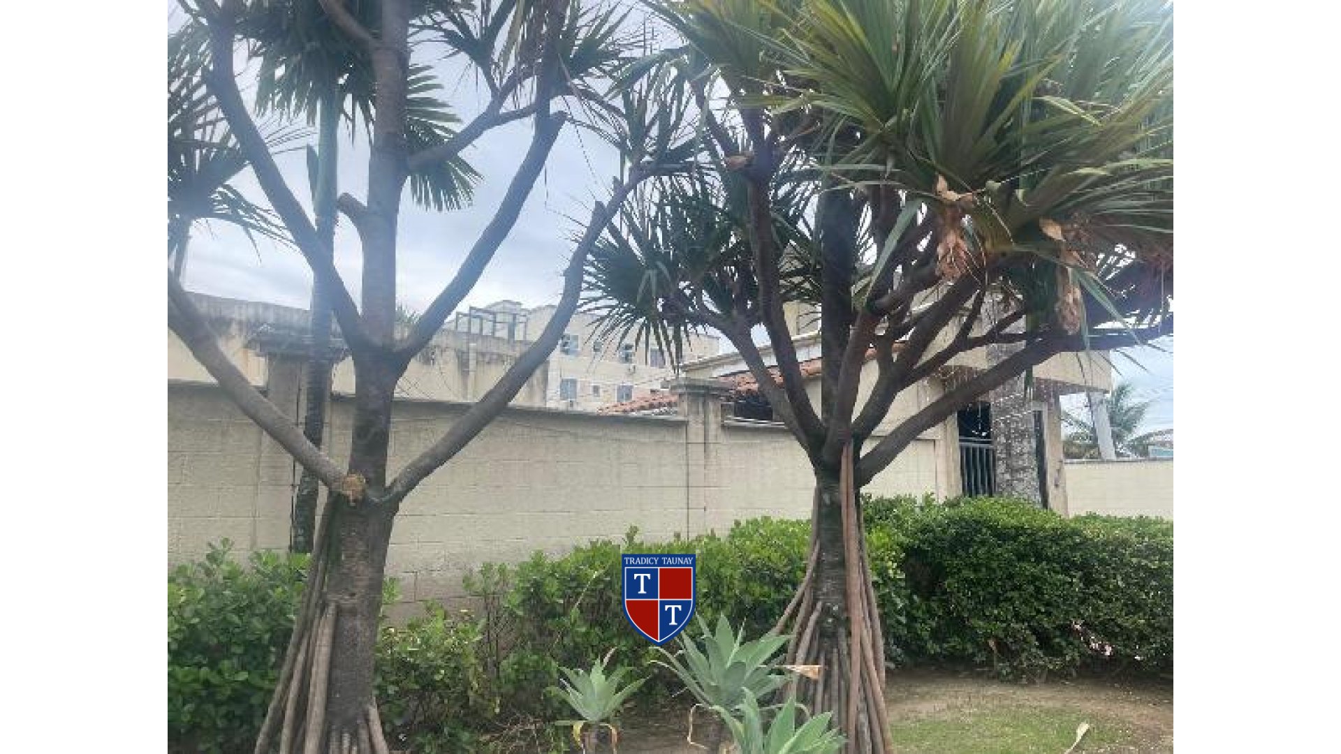 Foto 1 de APARTAMENTO em ANCHIETA - Imóvel Retomado Caixa