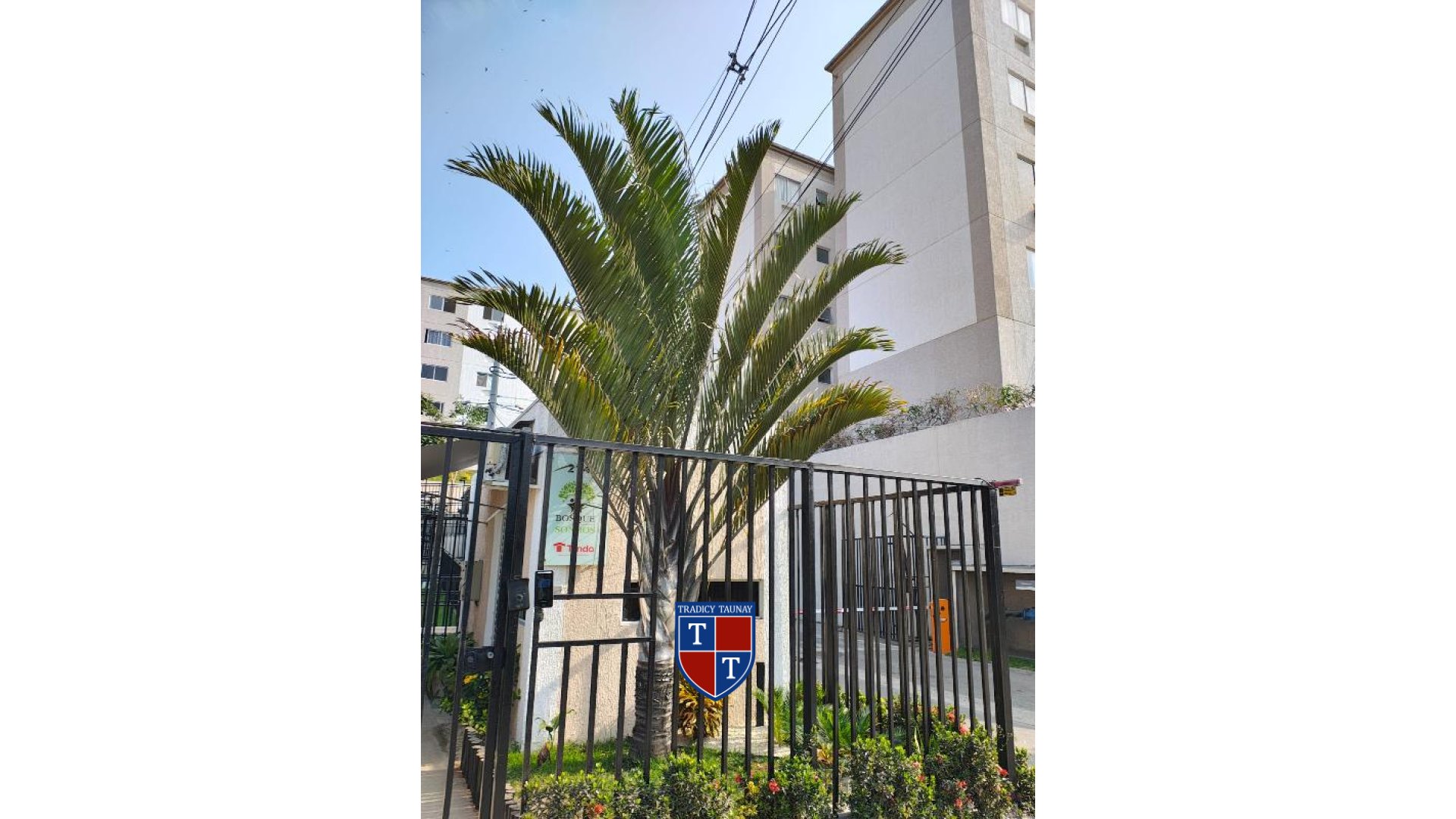 Foto 1 de APARTAMENTO em MONJOLOS - Imóvel Retomado Caixa