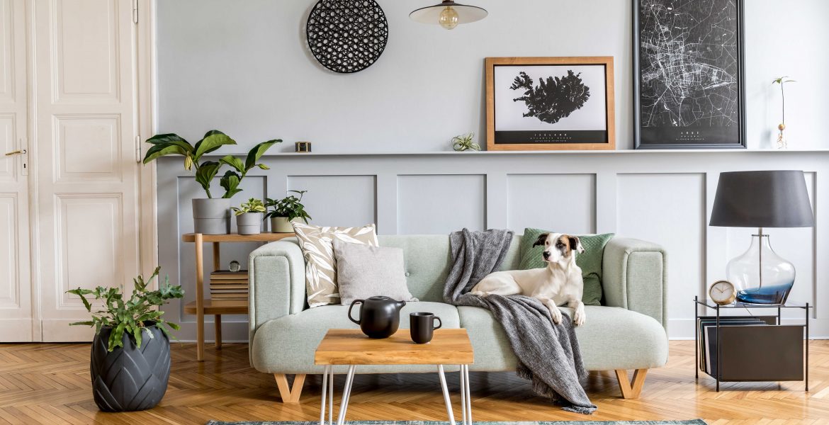Stylish interior design of living room with modern mint sofa, wooden console, cube, coffee table, lamp, plant, mock up poster frame, pillows, plaid, decoration and elegant accessories in home decor.